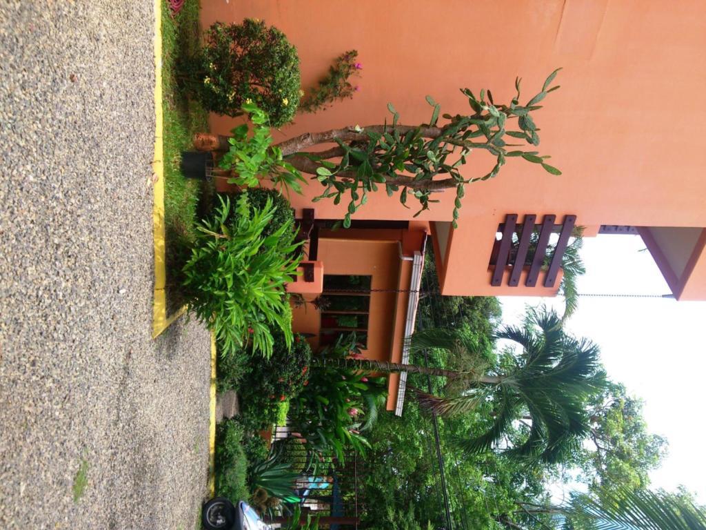 Inn On The Park Manuel Antonio Exteriér fotografie
